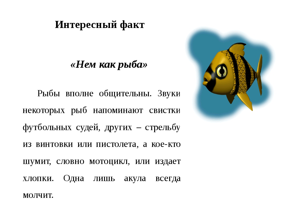 Нем как рыба. Интересные факты о физике. Интересные факты по физике. Интересные факты из физики. Интересные факты о звуке.